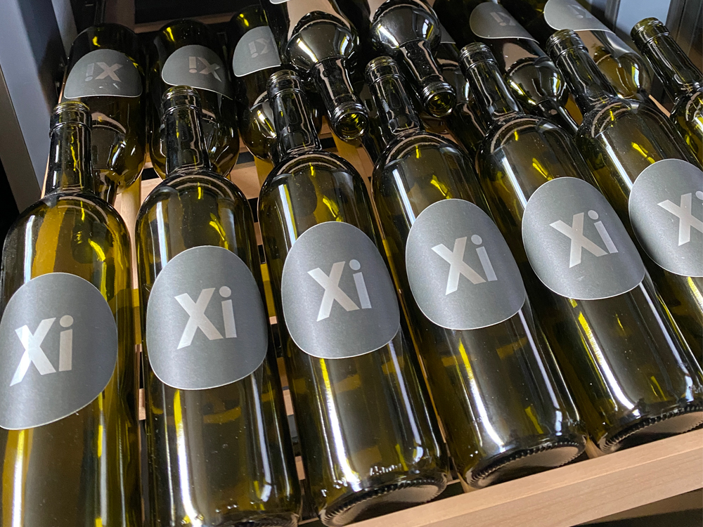 Xi Cool PRO Modell 1 by LIEBHERR