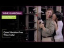 Wine Guardian Ducted Video